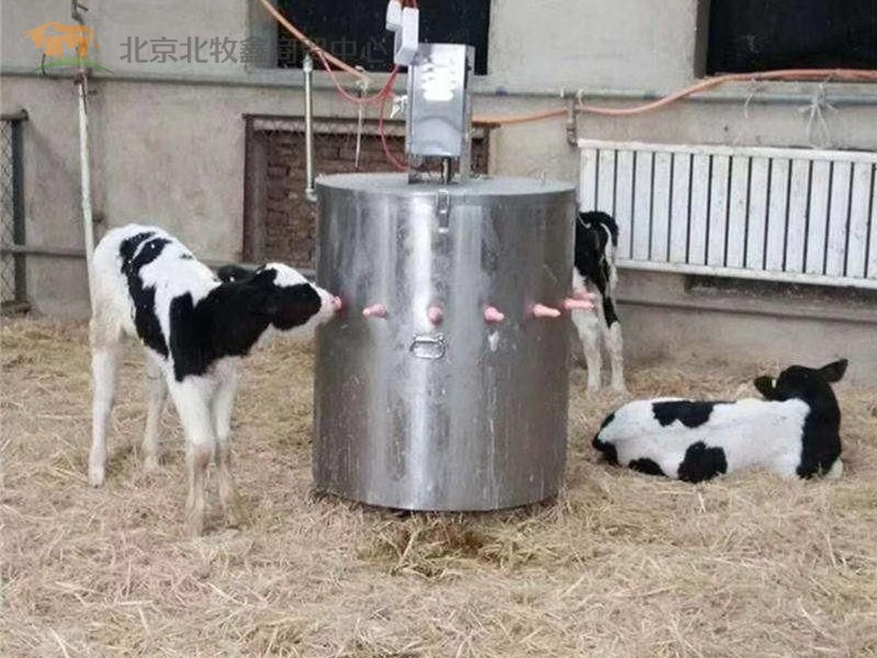 犊牛自动哺乳机 犊牛饲喂机 犊牛哺乳机 犊牛喂奶机