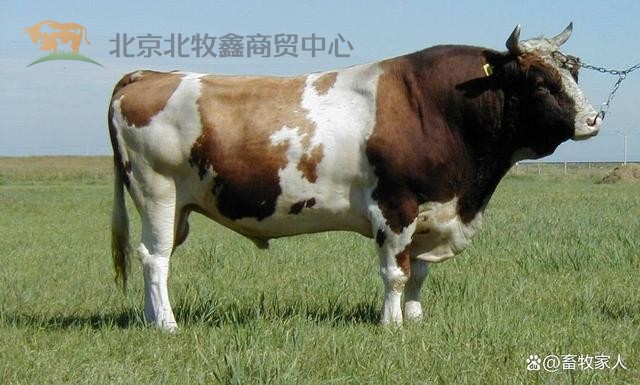 eac4b74543a98226cf339894f58c430b4b90eba8