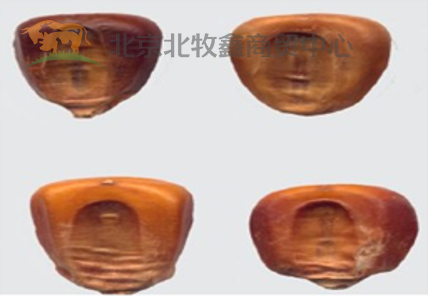d1e0c5fd6a121b9ae09f5796f86daf65098aadc2